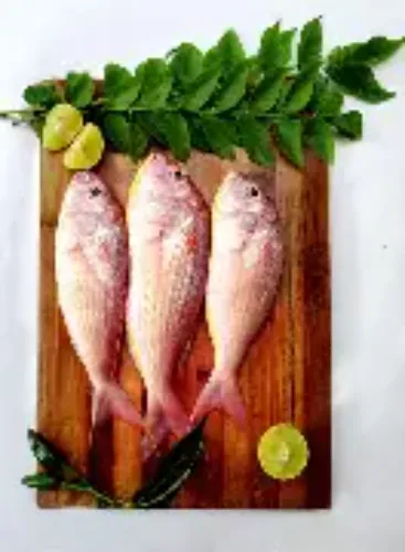 കിളിമീൻ (Kilimeen - Pink Perch)